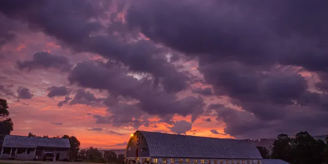 Hillside Homestead - sunrise over a dairy farm with a house on the bottom left and a barn on the bottom right. Herd of cows making their way into barn.