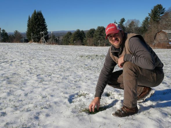 A person in a snowy field used for growing grain
