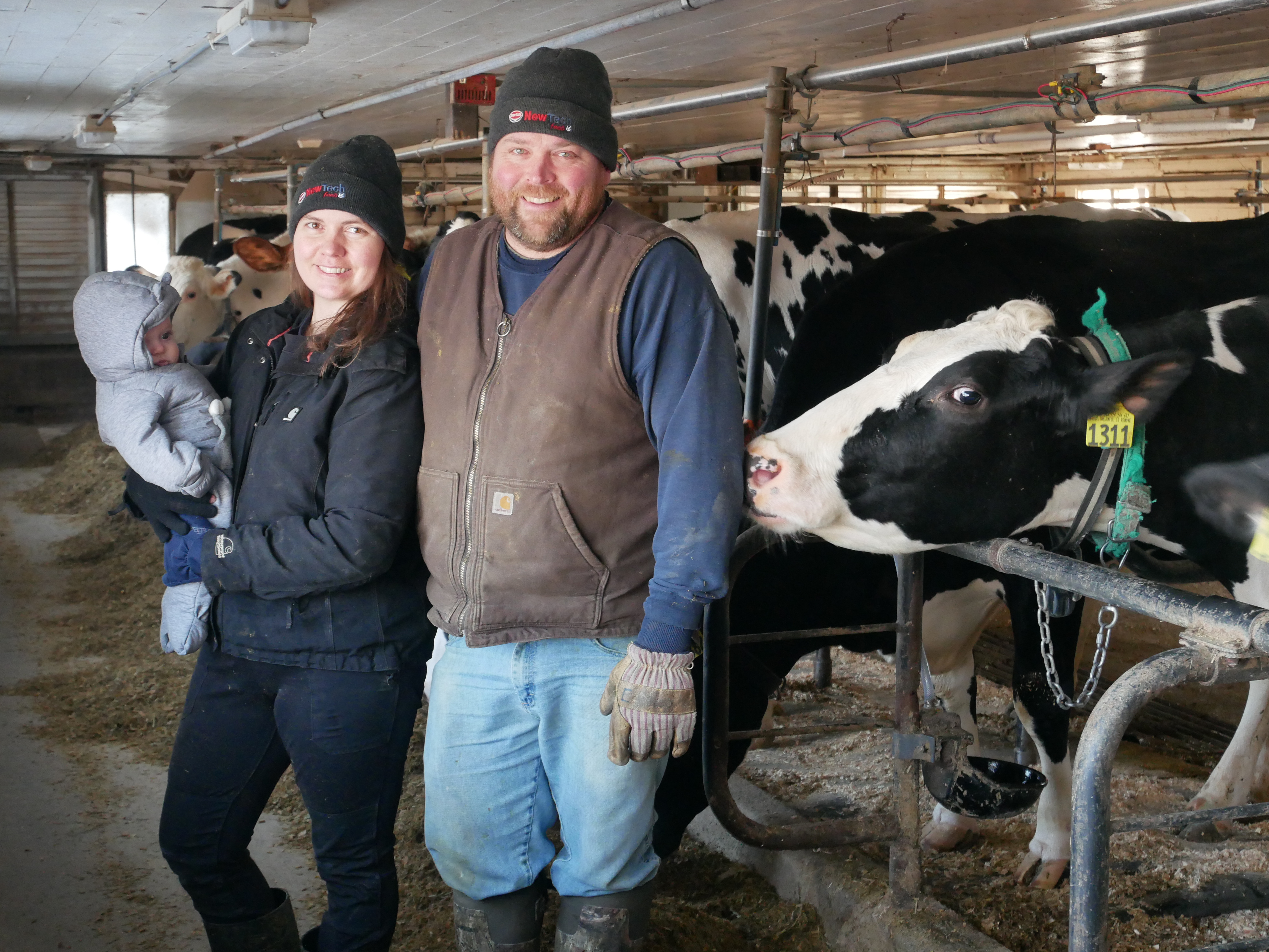 Mary and Elijah stand in a barn in front of dairy cows. May holds a baby.