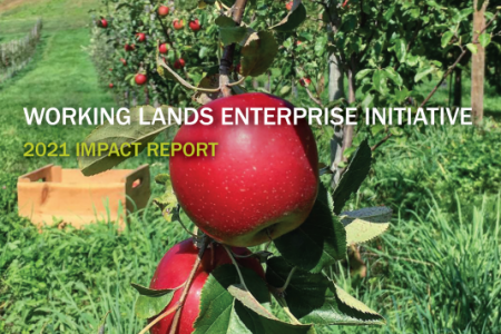 Image of 2021 report cover with an apple orchard in the background