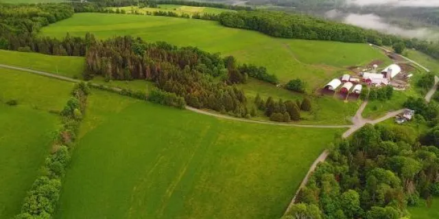 Aerial view of pasture and farm in summer