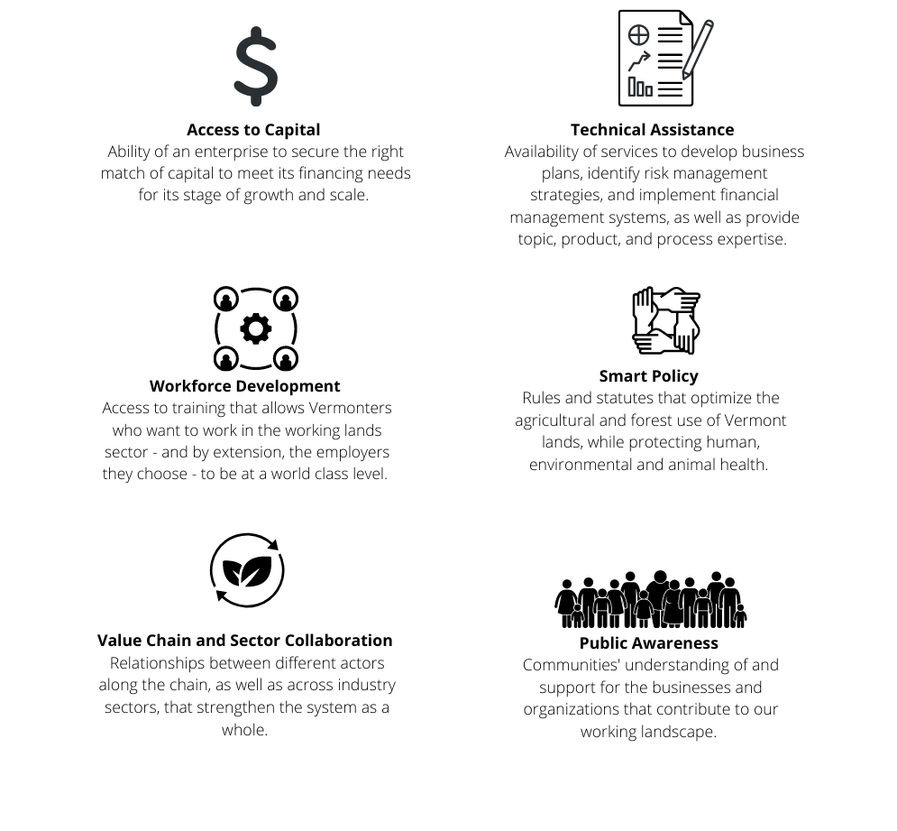 Infographic of WLEI approach to change