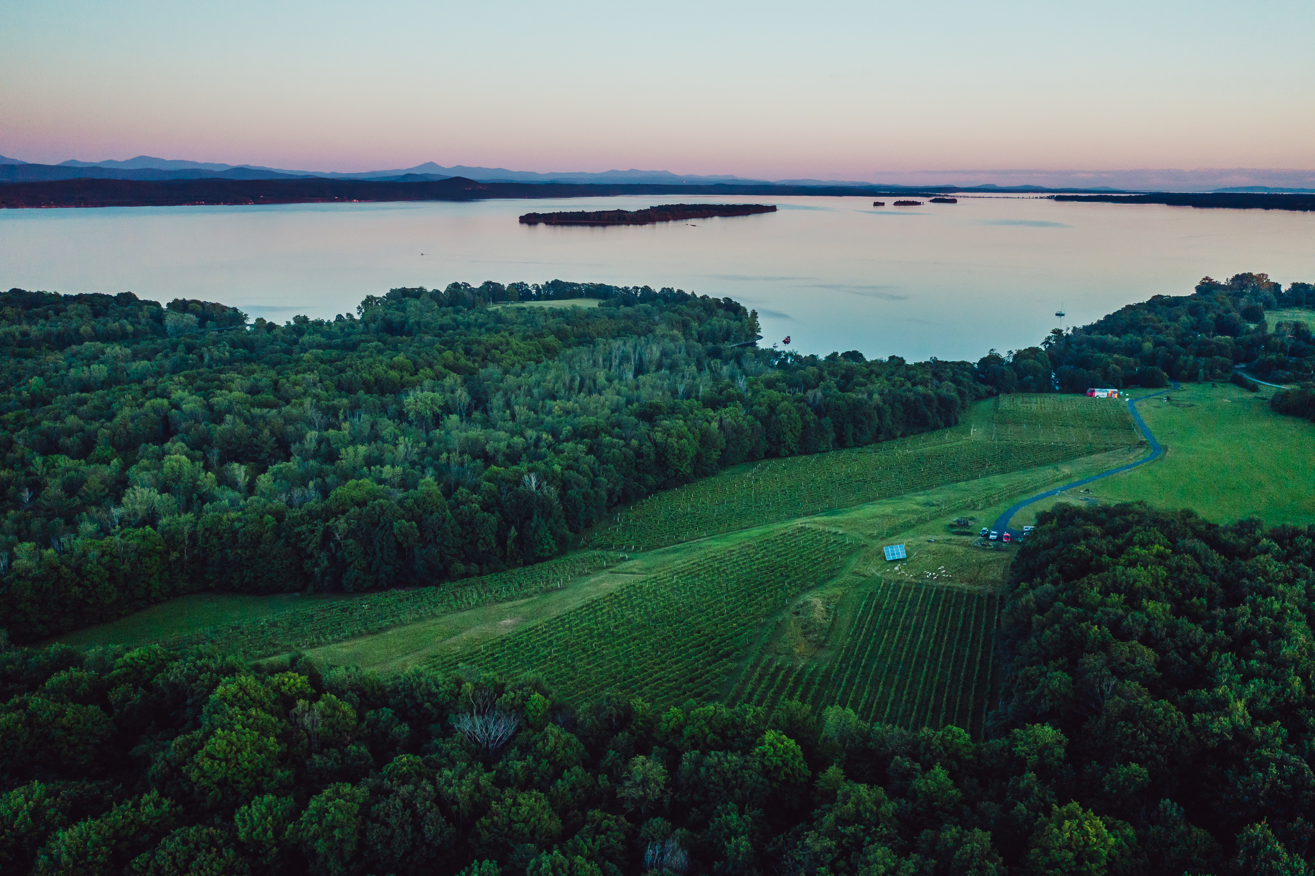 Drone shot of a vineyard next to a lake in summer at dusk