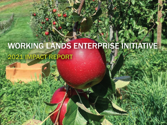 Image of 2021 report cover with an apple orchard in the background
