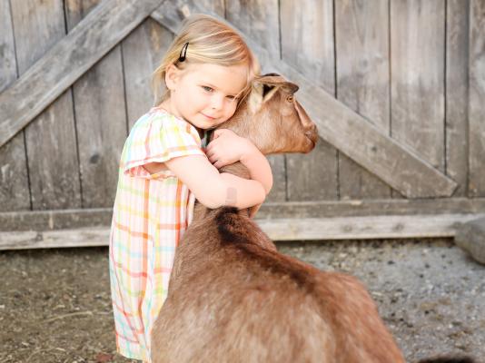 Young person hugging a goat at Big Picture Farm.
