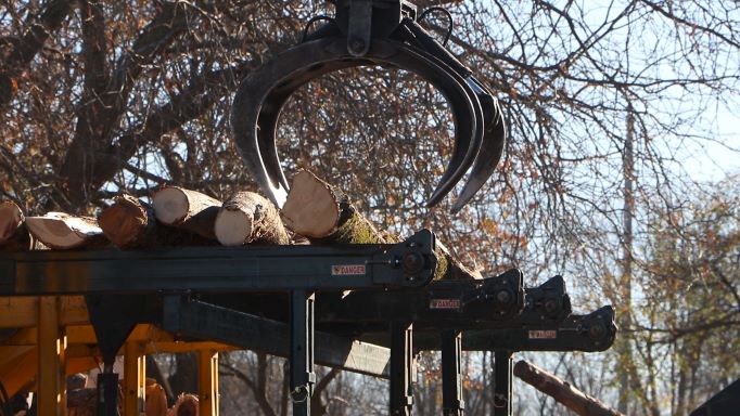 Logs are on a loader and a crane reaches down to grab them