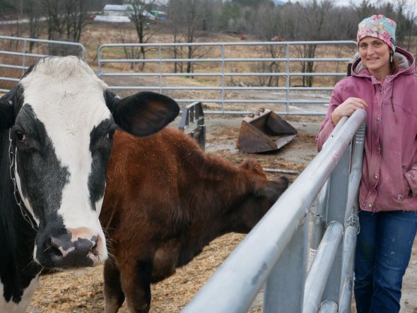 Renee Baker at right side stands along a fence looking at cows on the right