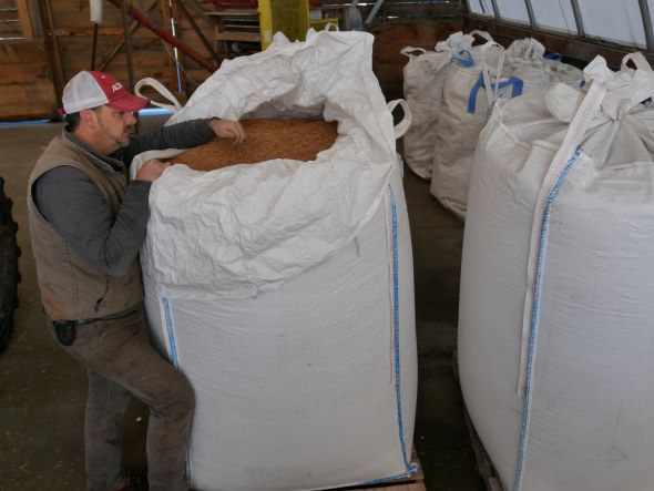 A person standing next to a bag of raw grain that is the same height as them