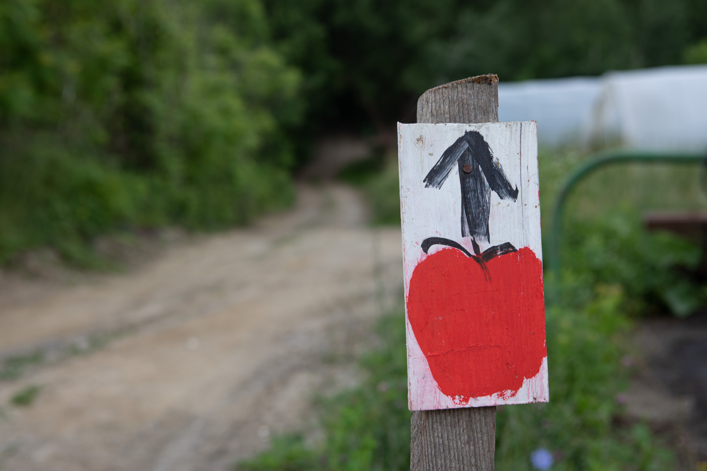 White sign with an apple painted on it and an arrow pointing forward