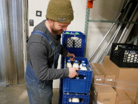 A person wearing overalls and hat moves blue crates with milk bottles