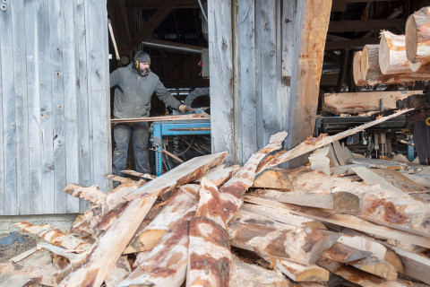 A person saws logs in a saw mill. There is a pile of sawn scraps in the front of the frame.  Credit Erica Housekeeper. 