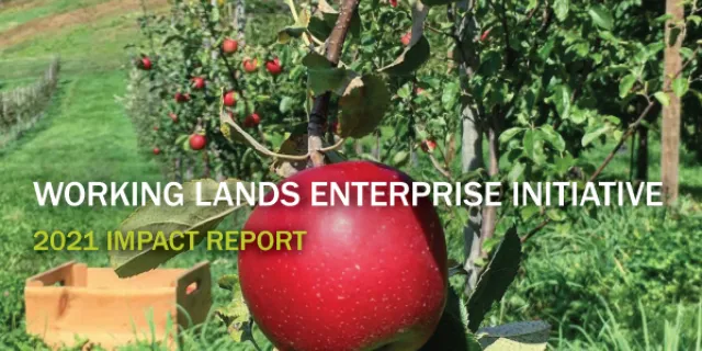 Image of 2021 Impact Report Cover with an apple orchard in the background