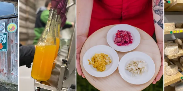 A group of pictures of a maple business, cider bottle, plate of fermented vegetables, and cheese wheels aging