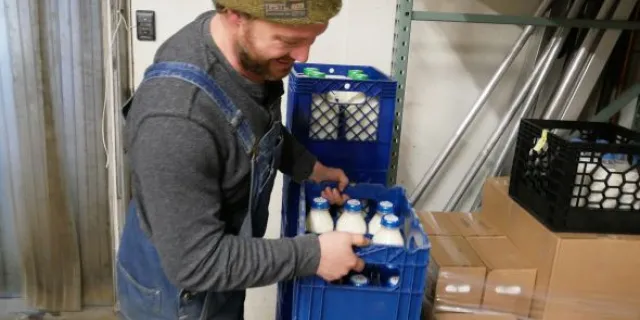 A person wearing overalls and hat moves blue crates with milk bottles