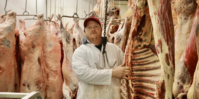 Ryan Cushing stands among hanging skinned carcasses for meat cutting. Photo credit Steve James, Addison Indpendent.
