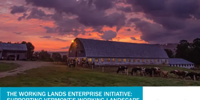 Report cover with landscape photo of a barn with cows walking at sunrise. Text says "The Working Lands Enterprise Initiative: Supporting Vermont's Working Landscape; Our first 10 years 2012-2022"
