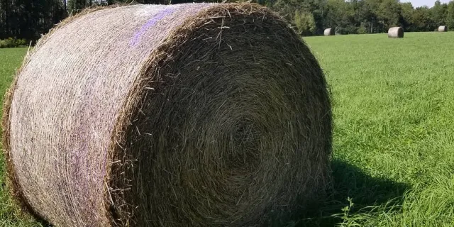 hay bale